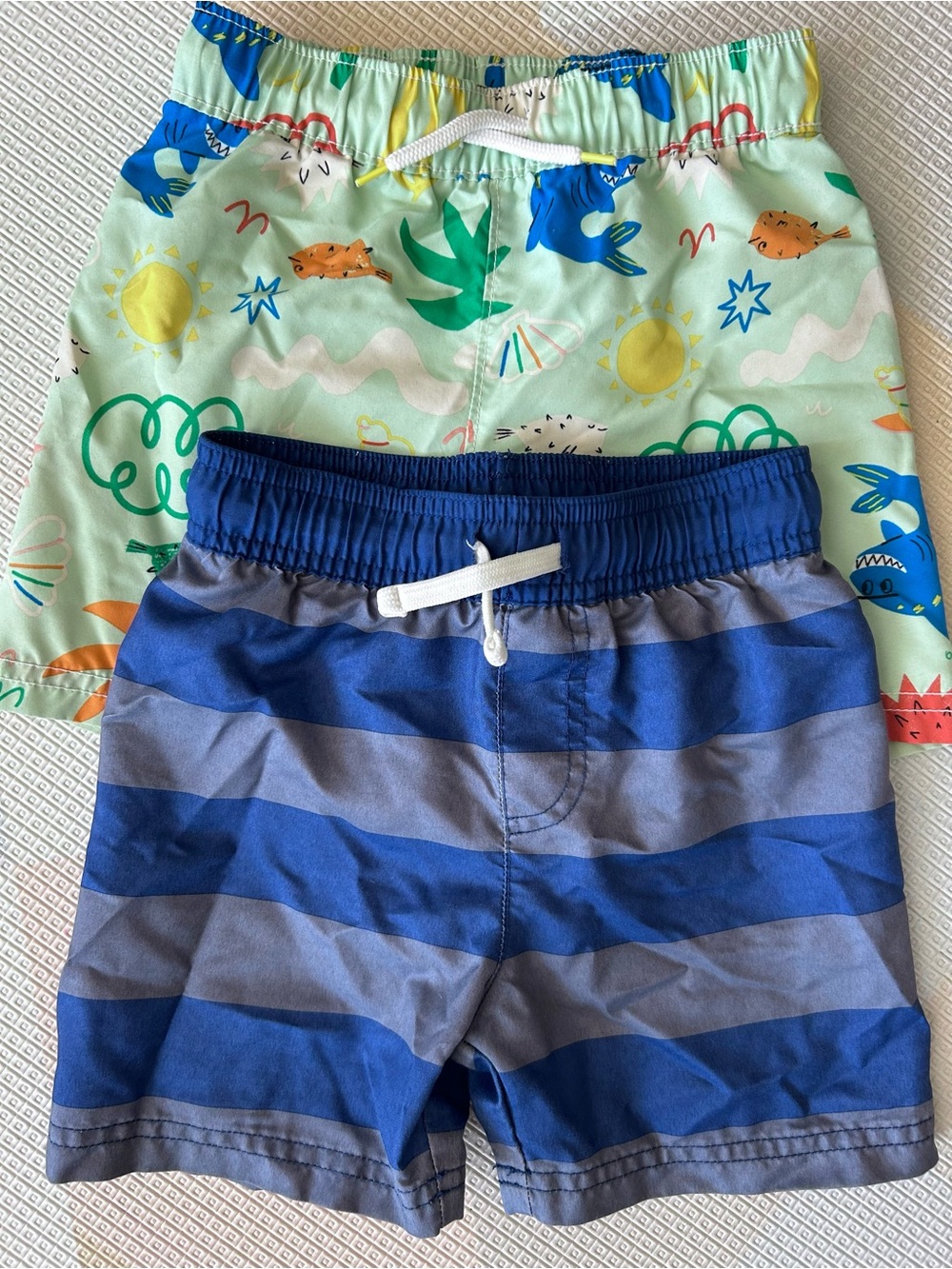 Boys Bathing Suit - 2 piece set